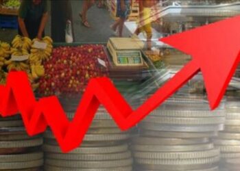 Çmimet nuk po rriten vetëm nga ushqimet dhe energjia/ Ekonomia po i afrohet potencialit të rritjes