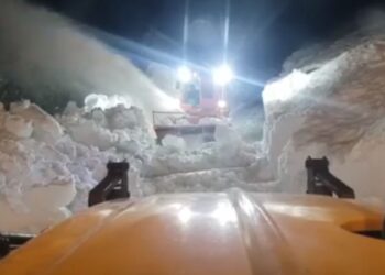 Nuk ndalen ortekët në Theth, ARRSH jep detaje për situatën