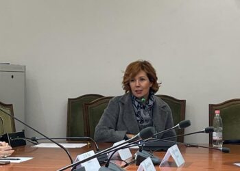 Një përgjigjie për Sali Berishën, nga unë “zëdhënësja” e Bashës