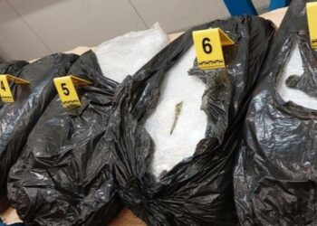 Arrestohet ish-sekretari i ministrisë së Industrisë, u kap me 50 kg drogë në Malin e Zi