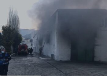 Tymi i zi “mbulon” zonën/ Merr flakë fabrika e përpunimit të peshkut në Lezhë, devijohet rruga për Tiranë