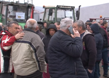 “Jemi të shpartalluar” / Fermerët, protestë në Devoll për çmimet e larta