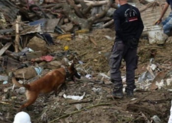“Njerëzit u bllokuan!”/ Rrëshqitje masive dheu, humbin jetën 14 persona
