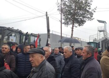 Fermerët e Bilishtit dalin në protestë: Po u vazhdua kështu, s’do ketë njeri në fshat