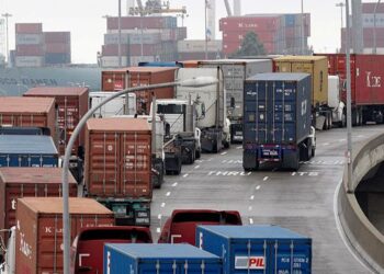 Trafiku i drogës me kamionët e bimëve medicinale/ Shoqata: Kompanitë po trajtohen si trafikantë