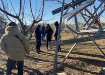 Ndodh edhe kjo: I kërkonte qira OST për shtyllat elektrike, qytetari i rrëzon në tokë pas refuzimit