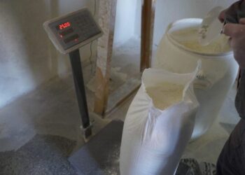 Për 2 ditë dyfishohen shitjet/ Frika nga lufta dhe shtrenjtimi i mundshëm i çmimeve nxit blerjet e miellit në Shqipëri