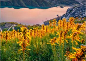 Turizmi/ Durrësi, Vlora dhe Tirana destinacionet më të preferuara. Pandemia nxiti pushimet brenda vendit