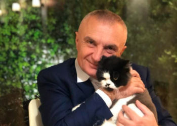 Sasha doli më e fortë se Gjykata Kushtetuese