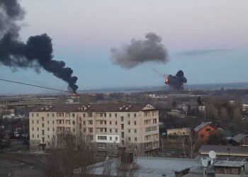 A ka rezerva të mjaftueshme mielli në Shqipëri? Flasin importuesit