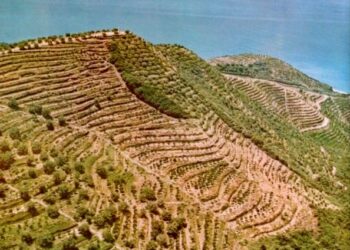 Të “punojmë dhe jetojmë si në rrethim”… e kishim harruar!