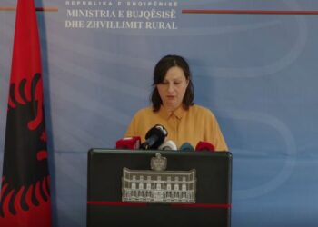 Gripi i shpendëve/ Ministria e Bujqësisë: S’kemi asnjë vatër të re!
