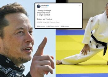 “Kush fiton merr Ukrainën”/ Elon Musk sfidon Putin në dyluftim në artet marciale