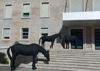 FOTOT/ Tre kuaj të zinj vendosen para kryeministrisë, pse është vendosur instalacioni në shkallët e godinës së qeverisë