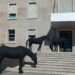 FOTOT/ Tre kuaj të zinj vendosen para kryeministrisë, pse është vendosur instalacioni në shkallët e godinës së qeverisë