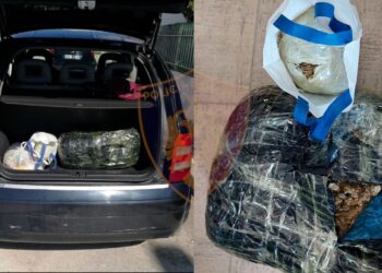 I gjejnë çantën me 7 kg kanabis në bagazhin e “Audi”-t/ Në pranga i riu vlonjat