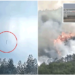 VIDEO/ Momenti kur ‘Boeing 737’ me 132 persona rrëzohet në tokë, para se të shpërthejë në flakë