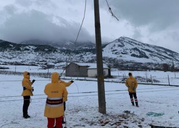 Nuk ndalet puna/ Vendosen 17 shtylla 35kV në Bilisht, vijon lidhja e percjellsave