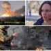 Mbi 300 ukrainas në Shqipëri, ja ku do strehohen. Dëshmia: Udhëtova 21 ditë me fëmijët e mi derisa mbërrita!