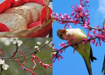 Sot Dita e Verës/ Shqiptarët festojnë 14 Marsin, Elbasani qyteti i festës