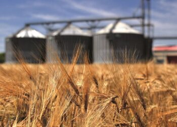 Duhej lufta për të kuptuar rëndësinë e Ballkanit të Hapur