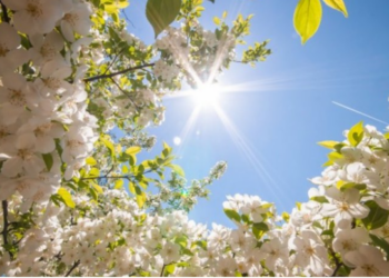Kthjellime dhe rritje temperaturash, parashikimi i motit për sot