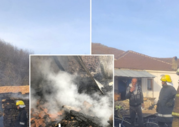 FOTO/ Zjarr në një stan në Maliq, digjen të gjitha bagëtitë. Shkaqet
