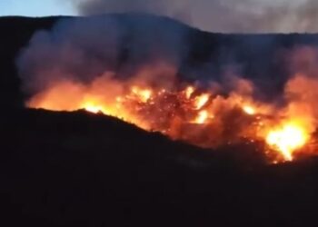 Përfshihet nga zjarri një zonë kodrinore në Vlorë/ Në flakë ullishte dhe shkurre!