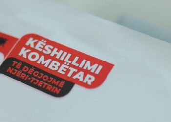 Si duhet lexuar Këshillimi Kombëtar