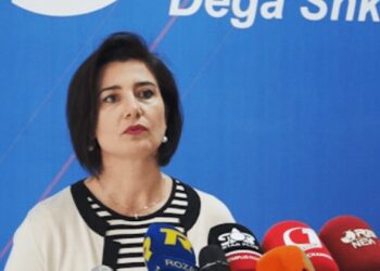Platforma e Alibeajt për Bashkim/ Deputetja Bardeli: Deputetët e 25 prillit zgjedhur nga demokratët, ta mbështesin