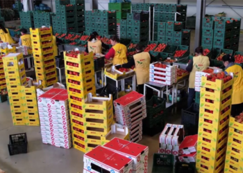 Sa po ndikon lufta tek shkëmbimet e fermerëve shqiptarë me Ukrainën?!