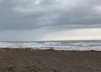 FOTO: Pulat e ngordhura mbushin bregdetin e ‘Ranës së Hedhun’ në Shëngjin