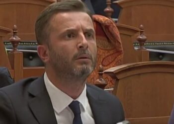 Braçe ironik me rrëzimin e Berishës: Po shko o qyq në shtëpi, se boll le kockat rrugëve!