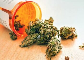 Ja çfarë është kanabisi mjekësor që Shqipëria do të legalizojë kultivimin e tij