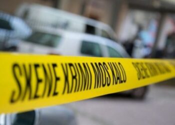 Tetovë/ Ngjarje horror, 45-vjeçari i pret kokën nënës me sëpatë