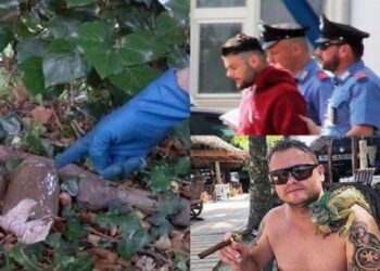 Kokaina lum në Belgjikë-Shqipëri-Itali/ Gjykata italiane i jep dënimin bandës shqiptare!
