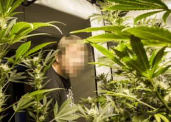 Si sot, në këtë ditë, më 30 Prill, lindi Hashek dhe vdiq Hashek, Hitleri dhe Mane