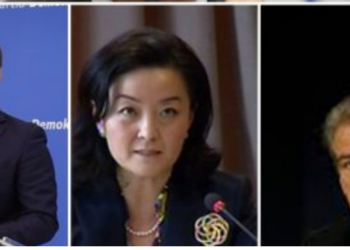 Arsyet e përroit psiqik të njerëzve të Berishës ndaj ambasadores së SHBA