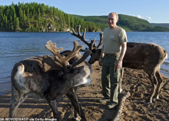 FOTOT/ “Putin vuan nga kanceri, lahet në gjakun e drerëve”/ Ja çfarë shkruajnë mediat ndërkombëtare për shëndetin e presidentit të Rusisë