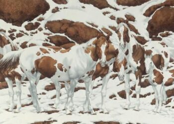 Jeni gati për një quiz? Numri i kuajve që shihni në foto, tregon shumë për inteligjencën tuaj