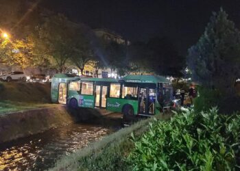 Propozimi i piktorit Helidon Haliti: Autobusi mbi Lanë të qëndrojë aty si instalacion publik