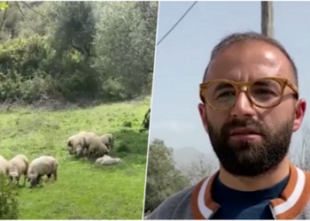 Fshati me 5 banorë në Shqipëri. I riu që pret nuse që ta popullojë sërish!