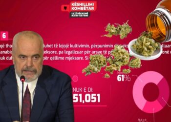 Legalizmi i kanabisit mjekësor/ Rama: Ç’kanë thënë qytetarët do të bëhet. Front të ri pune, do rritet ekonomia