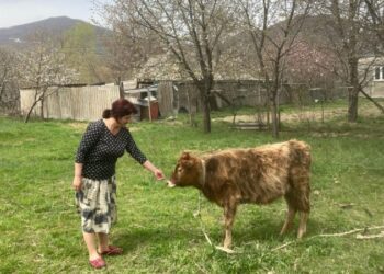 Rreziku/ The Times: Banorët në kufirin me Gjeorgjinë i frikësohen një pushtimit të ri rus