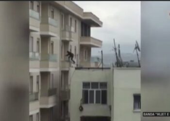 Si e grabitën ambasadën daneze mjeshtrat e kasafortave në Tiranë