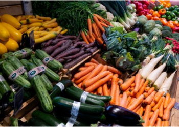 Agresioni rus prek rëndë tregjet/ FAO: Çmime rekord për ushqimet në mbarë botën