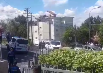 FNSH “blindon” Fushë Krujën/ Finalizohet një operacion anti-drogë, gjenden 900 fidanë kanabis, 2 të shoqëruar