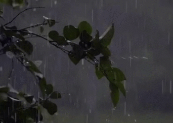 Ulen temperaturat/ Njihuni me parashikimin e motit për sot