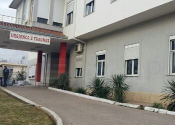 ‘Trauma’ reagon pas letrës së ish-këshilltarit të Gjonaj: Shërbimi që ju dha qytetarit hollandez ishte i plotë, u largua falenderues