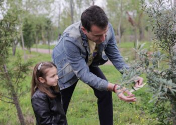 Dita e Tokës, Veliaj: E mbyllim këtë sezon me 114 mijë pemë të mbjella